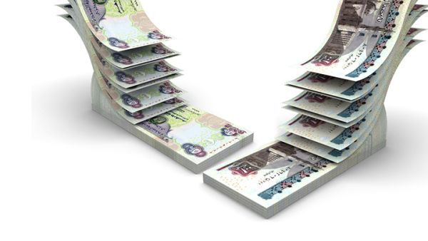 تلعب البنوك الإماراتية دوراً مهماً في توفير التمويلات اللازمة للعديد من المشاريع الاستثمارية الضخمة التي تم الإعلان عن في مؤتمر شرم الشيخ