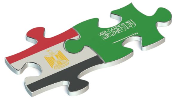 قيمة الاستثمارات المصرية في المملكة بلغت نحو 4.1 مليار ريال (1.1 مليار دولار) وبما يعادل نسبة 26.2 في المائة من إجمالي رأسمال 1043 مشروعا من بينها 262 مشروعا صناعيا ونحو 781 مشروعا غير صناعي