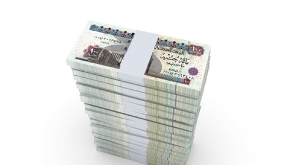 الجنيه المصري 