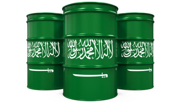 أدى انخفاض أسعار منتجات النفط والغاز محلياً، إلى انخفاض جاذبية الاستثمار في مصادر الطاقة البديلة، والاعتماد على الوقود الأحفوري -النفط الخام والغاز الطبيعي- بشكل كامل في توفير الطاقة محلياً