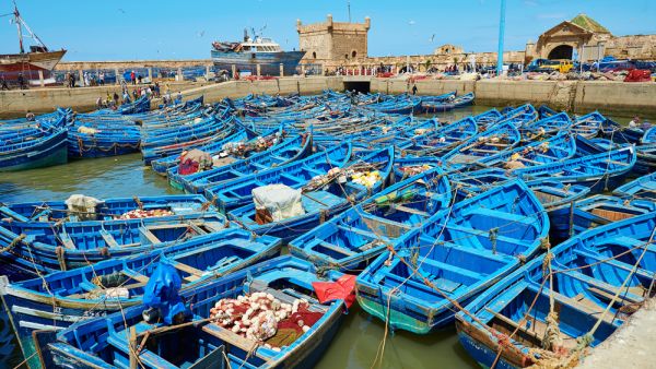 الصيادون الإسبان يخشون تعطيل البرلمان الأوروبي اتفاق صيد مع المغرب
