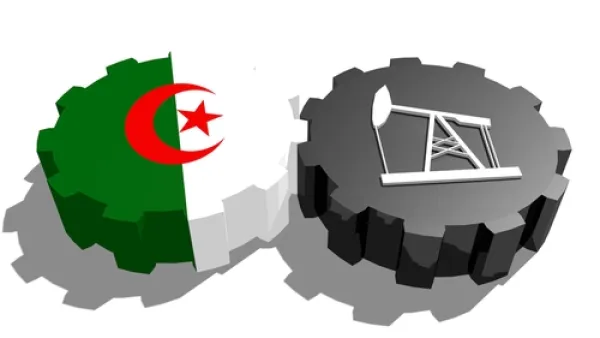 تعد الجزائر موردا رئيسيا للغاز إلى أوروبا، ويبلغ ناتج الطاقة 233 مليون طن من المكافئ النفطي في 2007 ثم تراجع باطراد إلى 187 مليون طن بحلول 2012