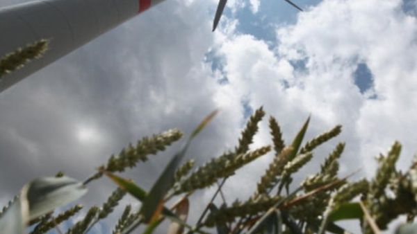 To achieve green development, new mechanisms are required to promote innovation and technology diffusion