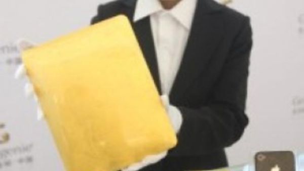 صنعت المجموعة الخاصة من "الآيبادز" الذهبية خصيصاً لفندق برج العرب، وتحمل العلامة الخاصة بالفندق الذي تديره "مجموعة جميرا للضيافة الفاخرة" التي تتخذ من دبي مقراً