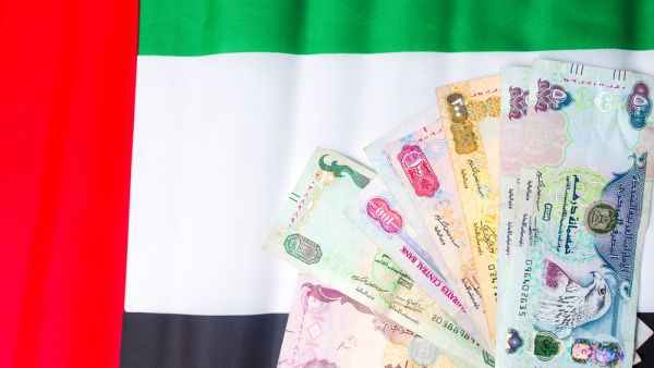 الاستثمار الأجنبي المباشر في الإمارات قد يرتفع إلى 50 مليار درهم في 2020