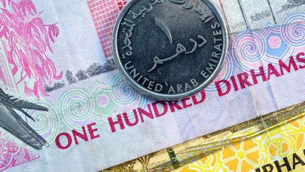 الدرهم الإماراتي 