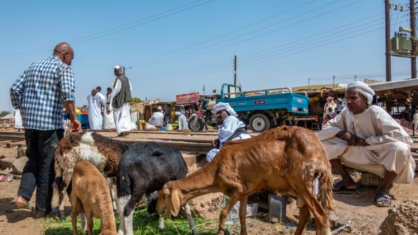 السودان يعاني من تفاقم فوضى الأسواق وانفلات الأسعار 