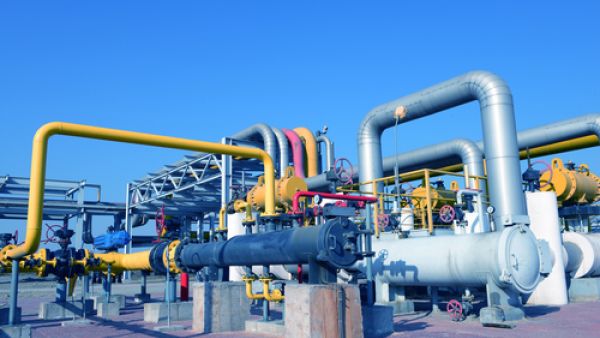 تفتقر البحرين لاحتياطات النفط الوفيرة والموارد المالية الضخمة التي تتمتع بها مثل دول الخليج الكبرى المصدرة للطاقة