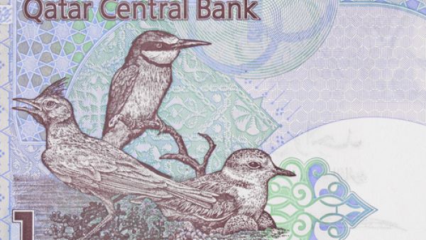الريال القطري 