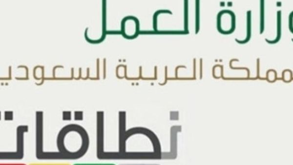 11 شركة عملاقة وقعت ضمن النطاق الأحمر من أصل 807 شركات عملاقة في السعودية خلال 2012