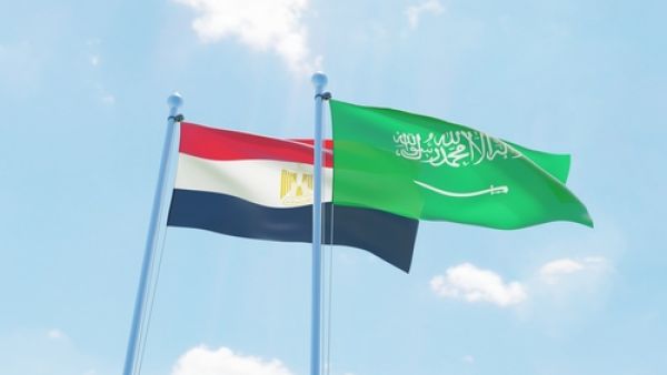 قانون الاستثمار المصري الجديد سيساعد في حل 90 % من النزاعات التي يواجهها المستثمرون السعوديون 