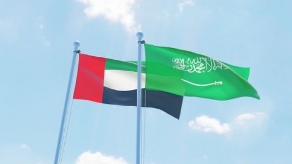 تأتي السعودية في المرتبة الرابعة عالمياً كأهم شريك تجاري للإمارات بإجمالي حجم للتبادل التجاري غير النفطي يقدر بنحو 19.5 مليار دولار خلال عام 2016