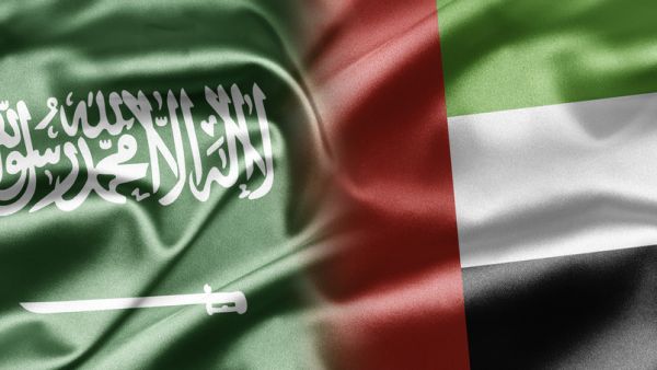 السعودية والإمارات تعلنان عن رؤية مشتركة عنوانها "استراتيجية العزم" لدعم الاقتصاد 