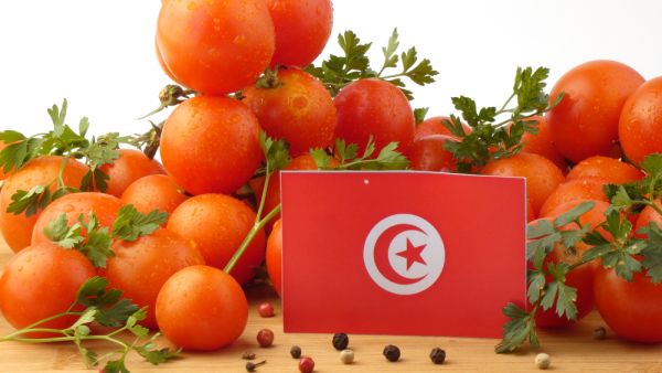 يبلغ معدل الإنتاج الوطني من الطمام نحو مليون طن، يوجه 75% منه إلى صناعات التحويل