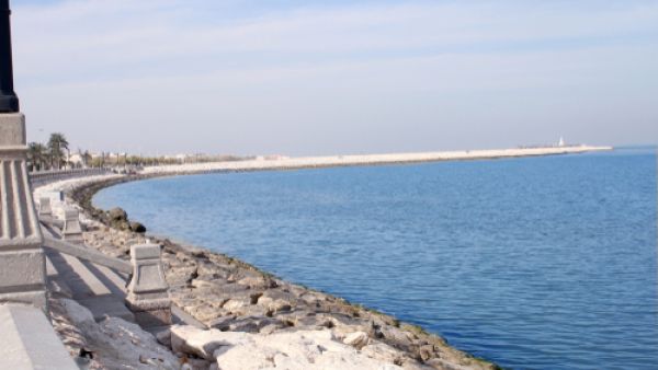 السعودية 