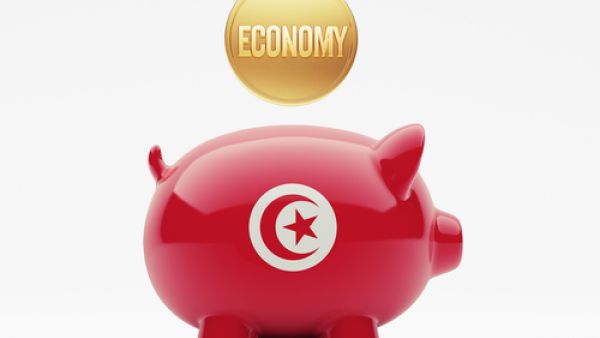 الحكومة الجديدة المقبلة التي سيتم تشكيلها قريبا ستواجه الكثير من التحديات والصعوبات، خصوصا في تطبيق آليات الاستثمار