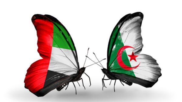 البلدين يمتلكان الكثير من المقومات التي لا تعكس حجم التبادل التجاري بين الإمارات والجزائر الفرص الضخمة بين البلدين