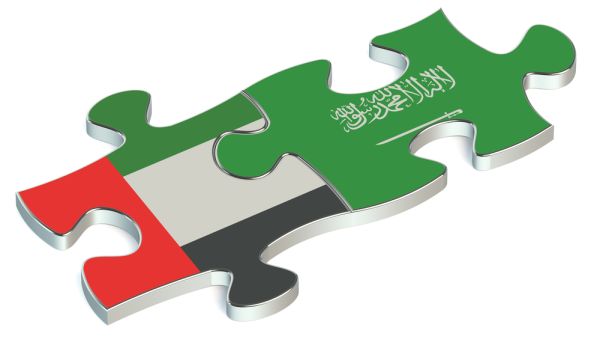 التبادل التجاري بين الإمارات والسعودية يرتفع بنسبة 11% العام الماضي 
