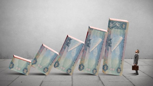 الإمارات اتخذت سياسة اقتصادية منفتحة، ونفذت استراتيجيات مدعومة من الحكومة، الأمر الذي أدى إلى تنوع اقتصادي كبير أسهم في التطور في مختلف المجالات