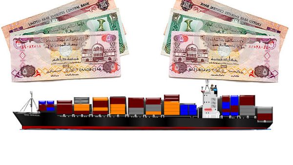 سجل سعر صرف الدرهم الإماراتي خلال العام 2014 ارتفاعات قياسية أمام كافة العملات العالمية والإقليمية مستفيدا من قوة الدولار المتصاعدة أمام هذه العملات منذ الربع الأخير من العام 