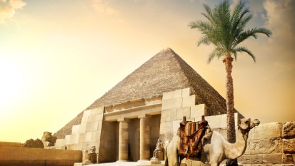 مصر 