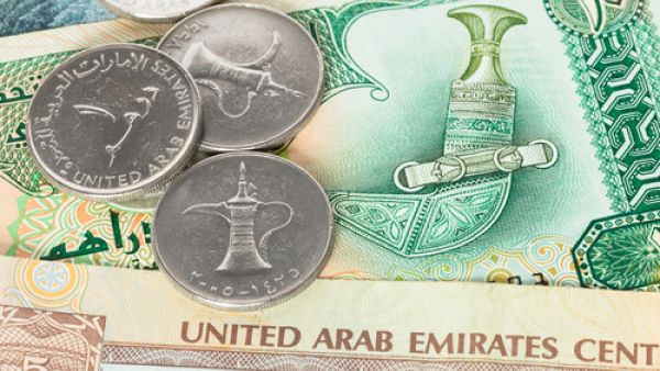 الاستثمارات الإماراتية بالخارج أثبتت كفاءة عالية في الأسواق الإقليمية والدولية