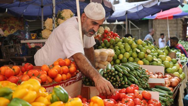 كانت الدول الخليجية الأربع (السعودية، الإمارات، الكويت، البحرين) الداعمة للنظام الحالي في مصر، قد حظرت الصادرات الزراعية المصرية، على خلفية اكتشاف آثار مبيدات ضارة، فضلاً عن تلوث مياه الري