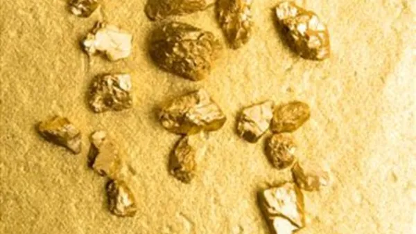 خفض الرسوم الجمركية على الذهب والألماس بين دول مجلس التعاون الخليجي، من شأنها أن تؤثر سلباً في نشاط قطاع الذهب في السعودية