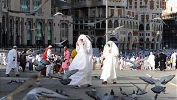 عزا متخصصون سبب زيادة الإيرادات إلى ارتفاع كلفة الحج والمعيشة عزا متخصصون سبب زيادة الإيرادات إلى ارتفاع كلفة الحج والمعيشة
