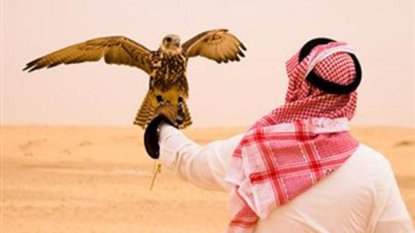 إن التوظيف في قطاع السياحة هو الأعلى بين القطاعات الاقتصادية الأخرى في المملكة