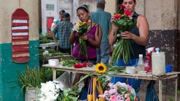 It’s important to encourage these kind of business because it nationalises the local economy