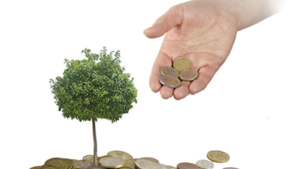 حماية الاستثمارات الزراعية تستلزم إقامة الاتفاقيات الإطارية التي يقوم بها كثير من الجهات الحكومية الأخرى