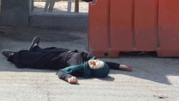 الشهيدة بيان أيمن عبد الوهاب العسيلي