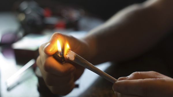 قاضي الحشيش