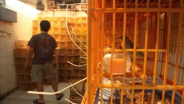 179 هاربا اعتقلوا مجددا