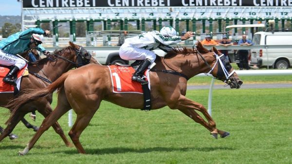 The equine guests were treated with exceptional care and attention as they were transported to Omaha, Nebraska. (File photo)