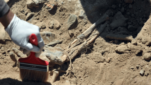 مقبرة جماعية عثر عليها بين مدينتي الموصل وأربيل