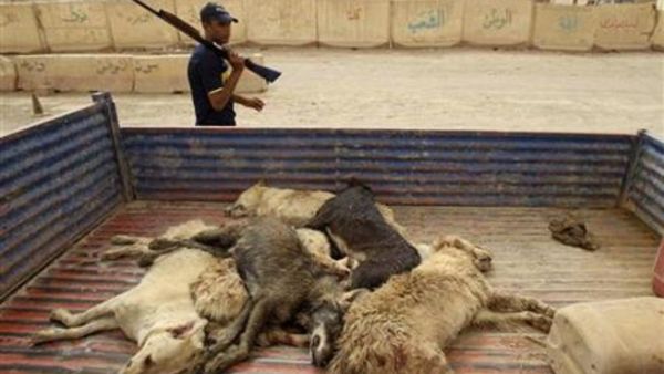 الجيش الاميركي: حاولنا وقف التعذيب في العراق 