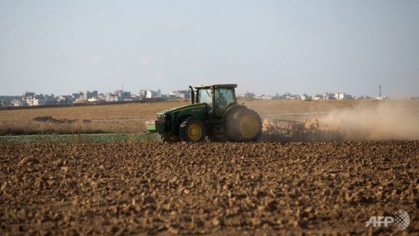 Pickapp will inform farmers of work productivity in the field. (AFP/File)