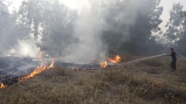  20 حريقاً يندلع يومياً في جنوبي إسرائيل منذ بدء ظاهرة الطائرات الورقية المحترقة