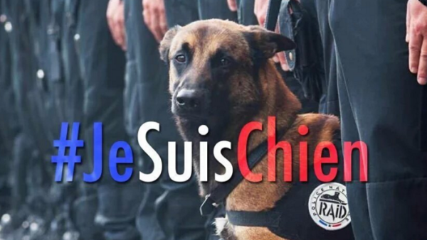 #JeSuisChien is trending on Twitter, although some feel that people's sympathies should be targeted elsewhere. (Twitter)