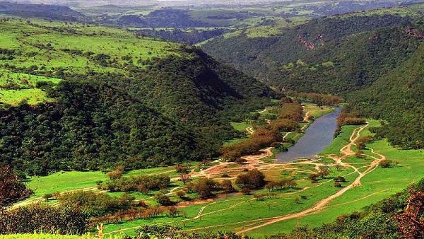 The Ministry has launched massive campaigns to promote awareness about one of the most amazing seasons taking place in the Arab Gulf nation’s Dhofar Governorate while summer stretches across the region. The Ministry has launched massive campaigns to promote awareness about one of the most amazing seasons taking place in the Arab Gulf nation’s Dhofar Governorate while summer stretches across the region.