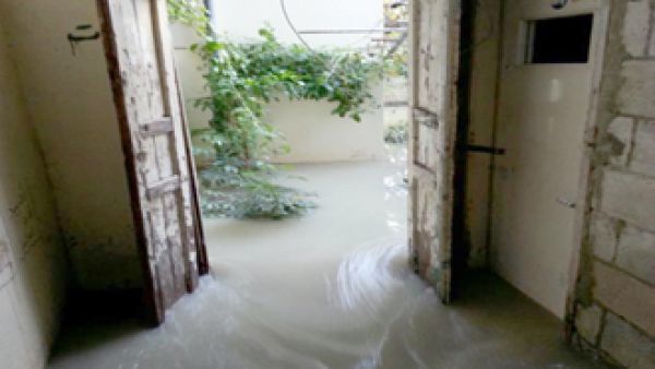 مخيم عين الحلوة للاجئين الفلسطينيين- لبنان