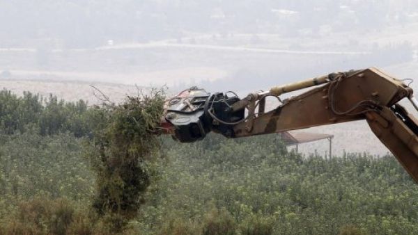 جرافة اسرائيلية تقتلع شجرة عند الحدود اللبنانية
