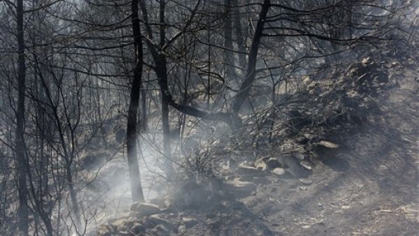 نجحت الامطار الغزيرة التي تساقطت على لبنان ليل الاثنين الثلاثاء في اطفاء الحرائق