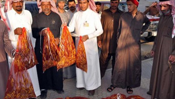 إقبال شديد على شراء "الجراد" في السعودية