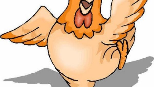 هلا يا دجاجة..