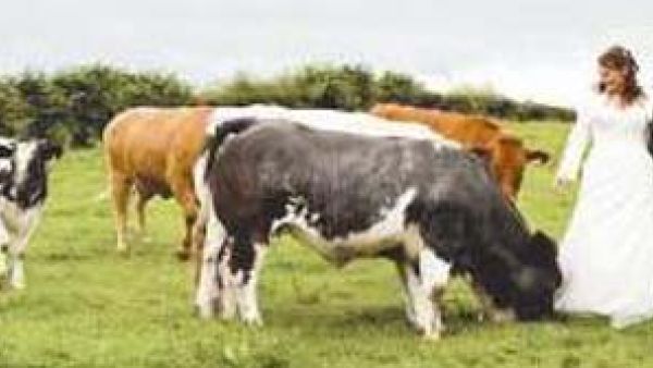 وسط المراعي