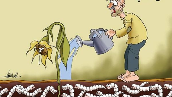 بريشة الفنان المبدع .د.علاء اللقطة