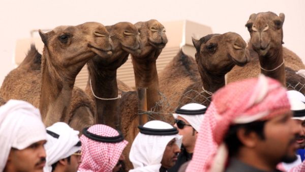 The event has already seen deals worth several million riyals. [Getty Images]